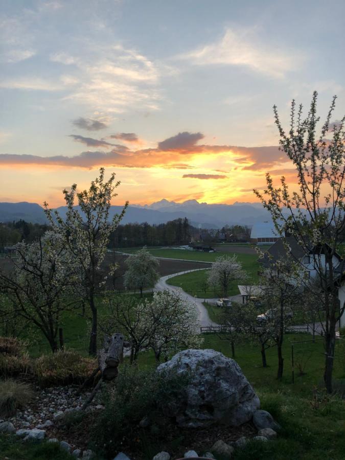 Apartma Romana Spodnji Otok Εξωτερικό φωτογραφία